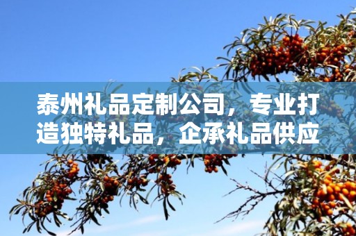 泰州礼品定制公司，专业打造独特礼品，企承礼品供应链卓越服务