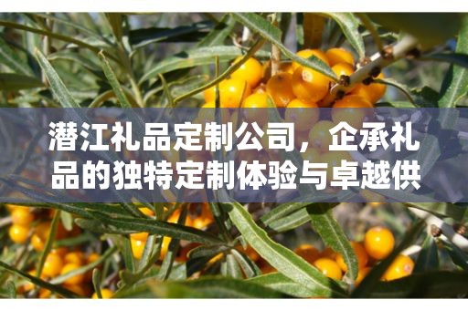 潜江礼品定制公司，企承礼品的独特定制体验与卓越供应链优势