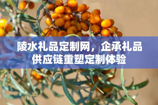 陵水礼品定制网，企承礼品供应链重塑定制体验