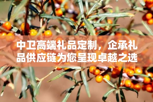 中卫高端礼品定制，企承礼品供应链为您呈现卓越之选