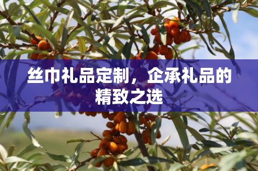 丝巾礼品定制，企承礼品的精致之选